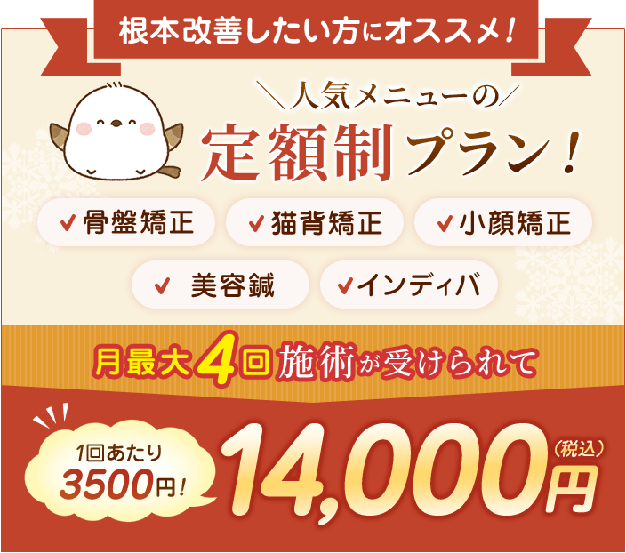 定額プラン
