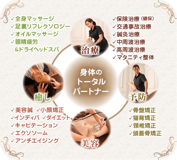 身体のトータルパートナー